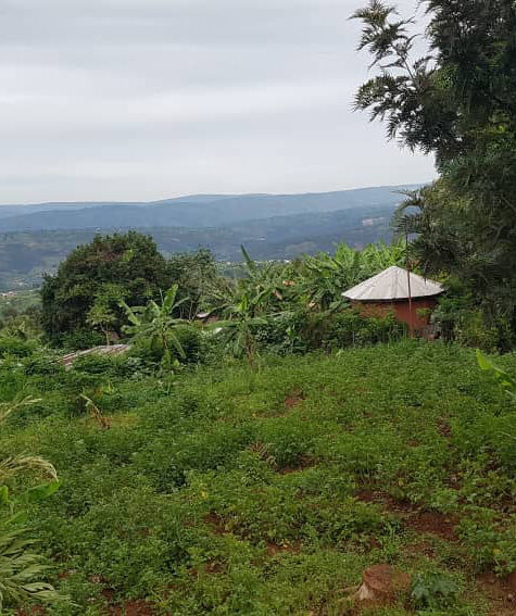 Issarau_LeTerrain